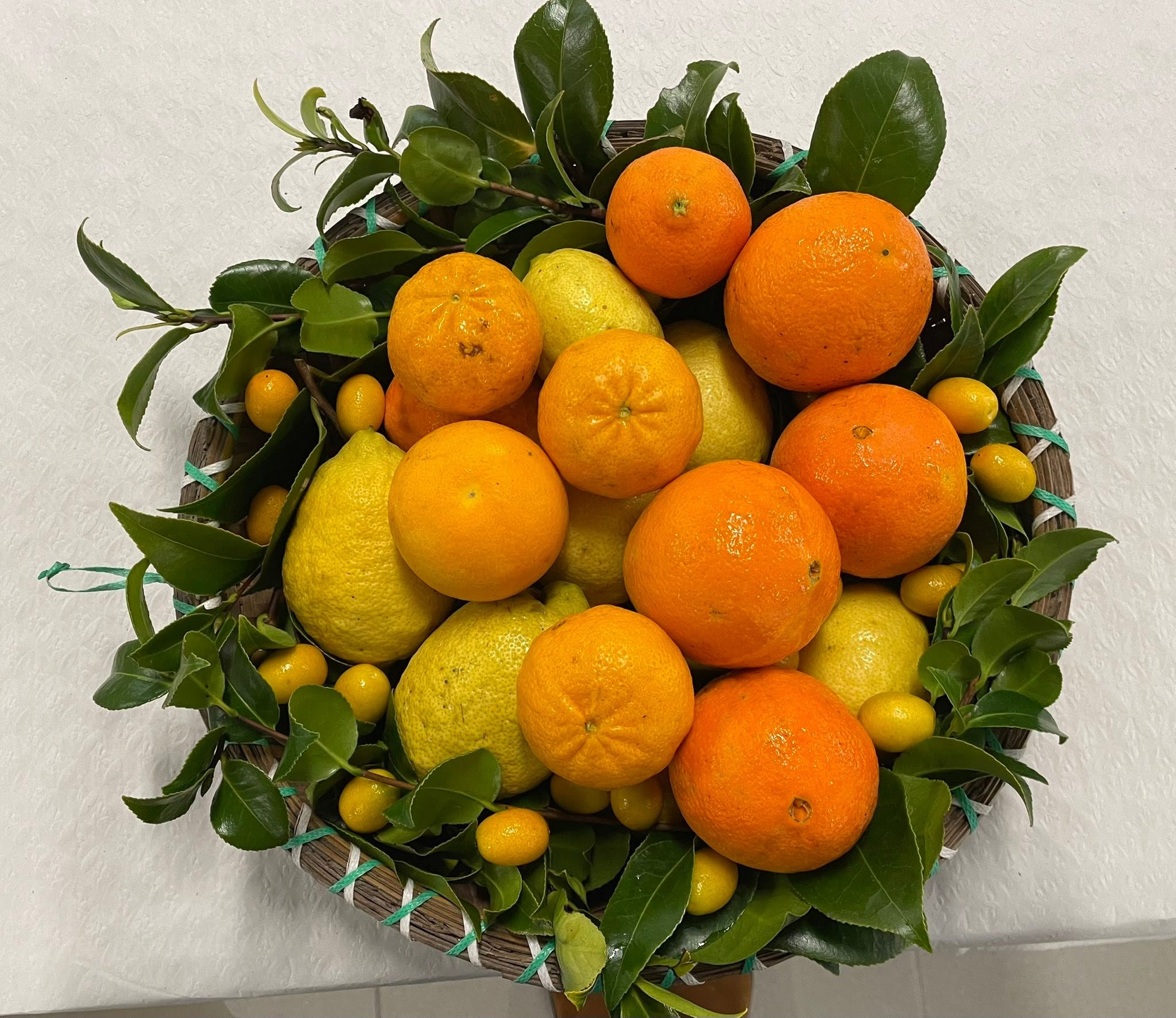 Fruta da época dos nossos produtores