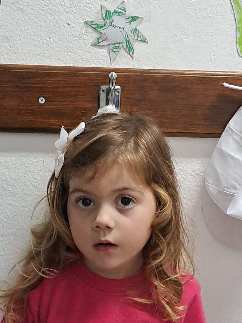Fotografia do Ninho de Esperança