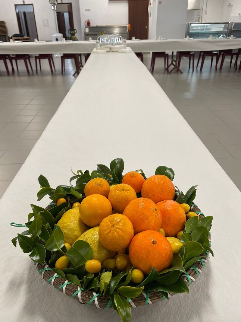 Fotografia do Ninho de Esperança