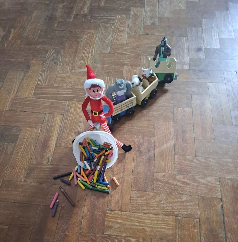 Fotografia do Ninho de Esperança